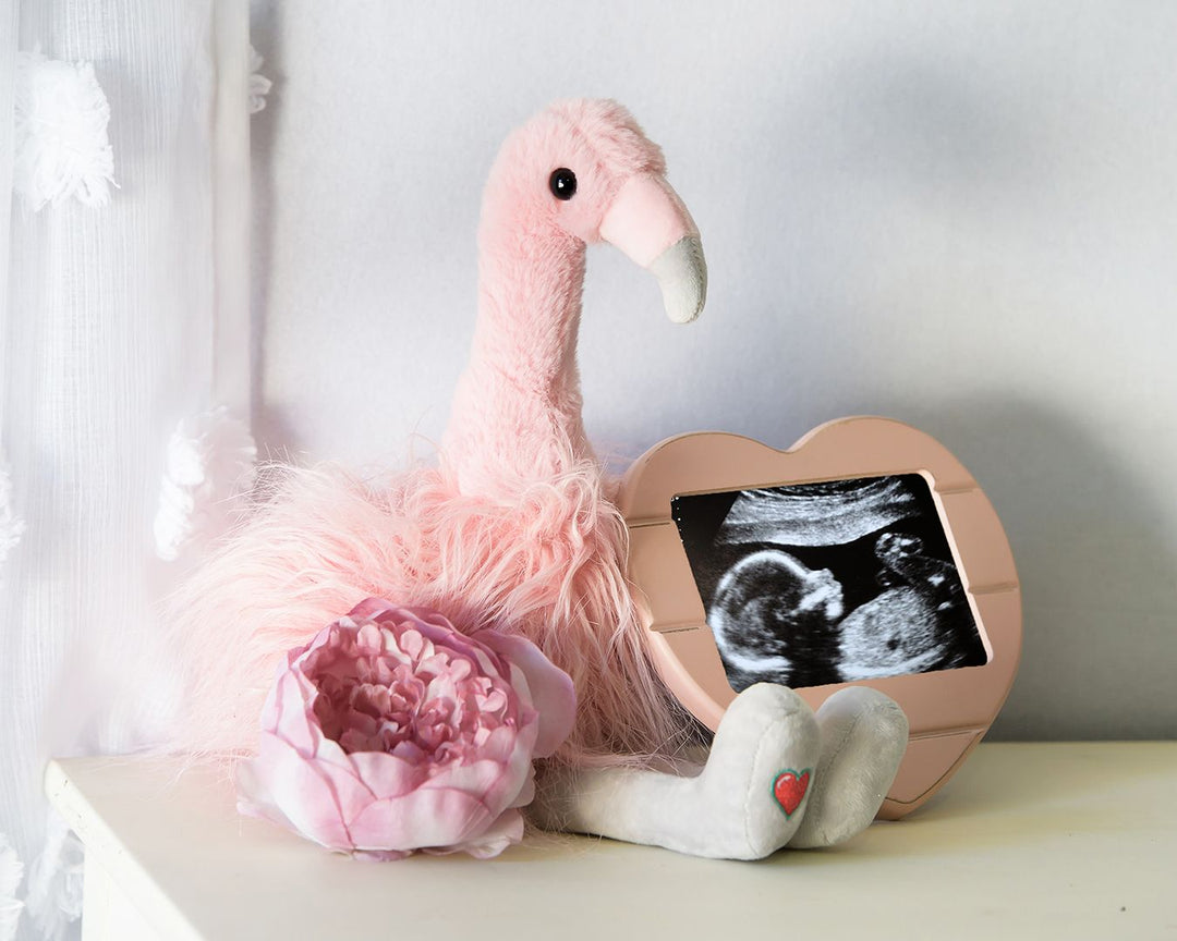Fall-Inspired Gender Reveal Bundles