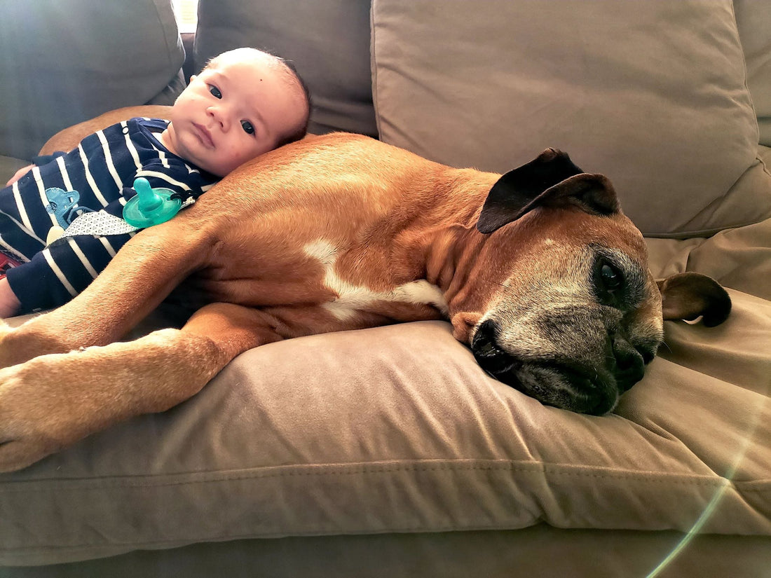 Babies Celebrating National Puppy Day