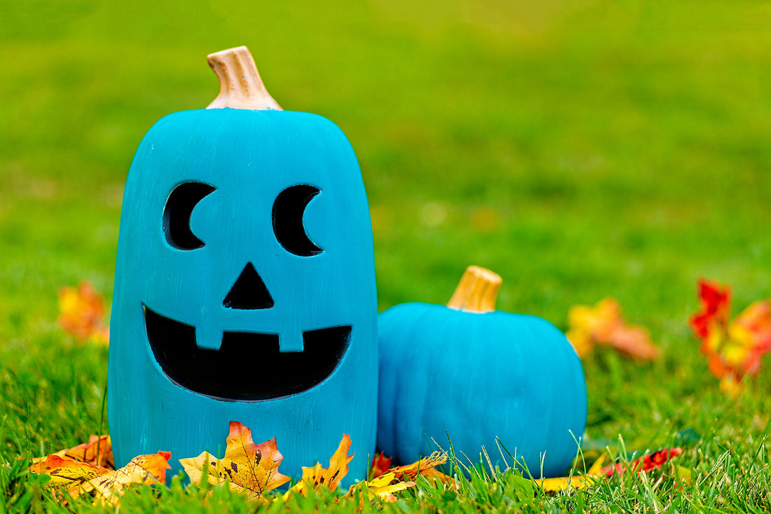 The Teal Pumpkin Project