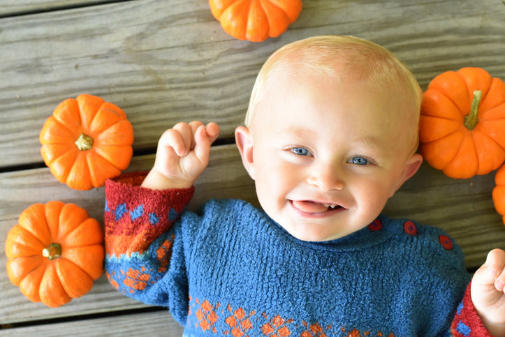 Baby’s First Autumn: Craft Ideas