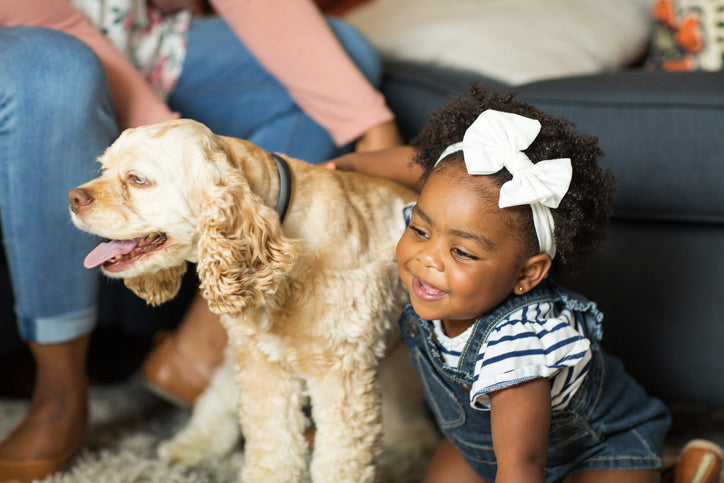 Preparing Your Family for a Second Dog