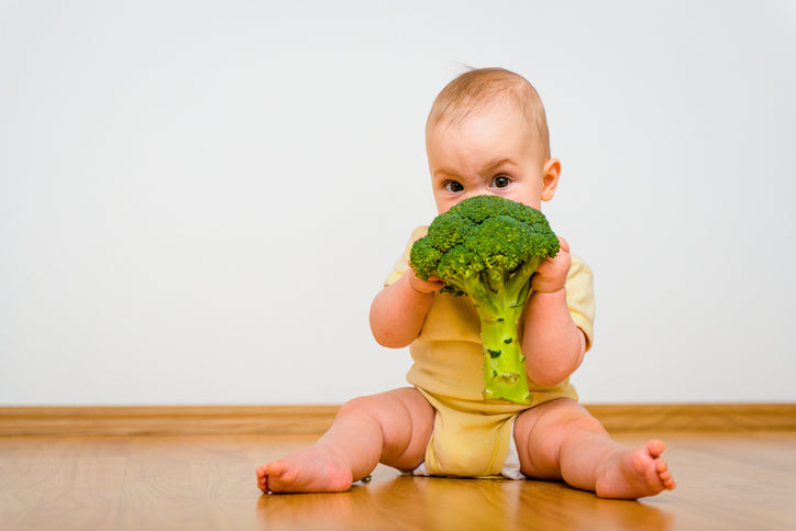 What is Baby Led Weaning?