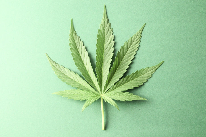 Marijuana in Pregnancy: BREAKING NEWS.