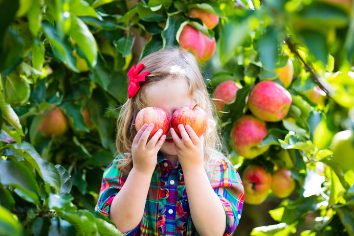 Apple Recipes for Fall