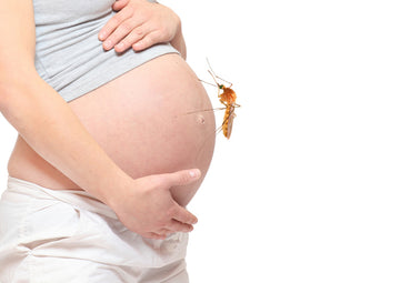Pregnancy Bites: Mosquito Season is Here