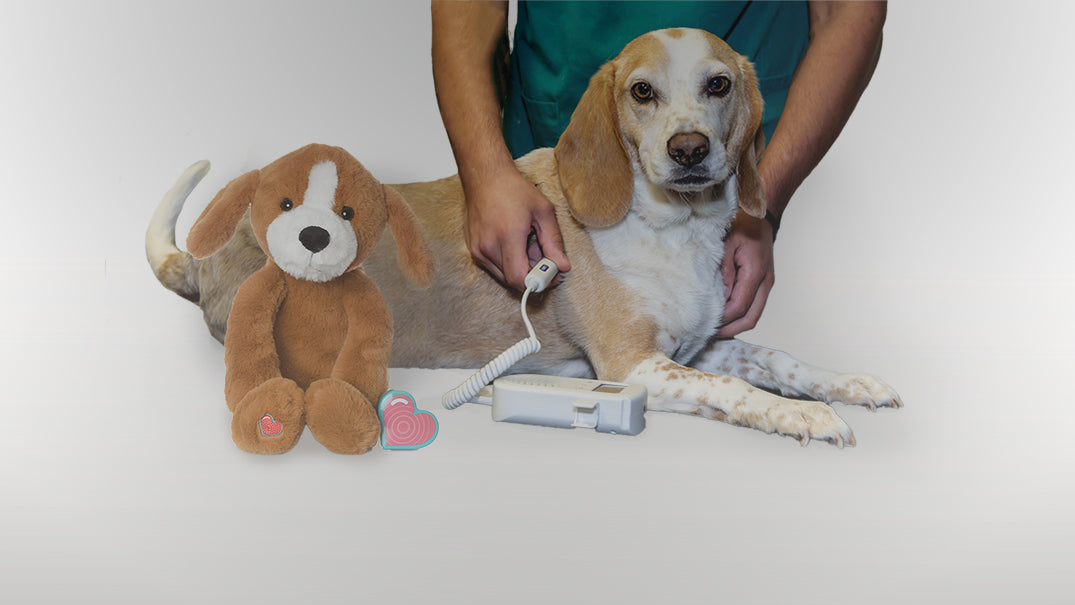 Pet Keepsakes