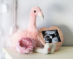 Fall-Inspired Gender Reveal Bundles