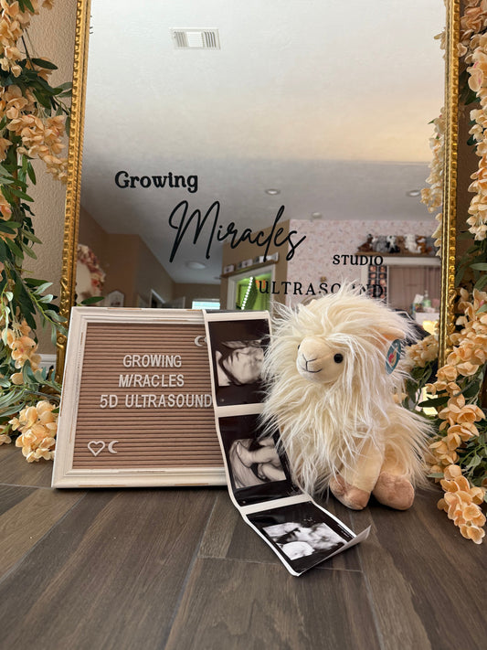 Boutique Spotlight: Growing Miracles Ultrasound