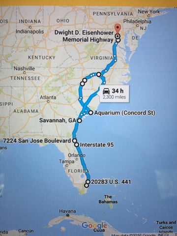 Single Mom Driving: 1 mom, 4 littles, 2300 miles