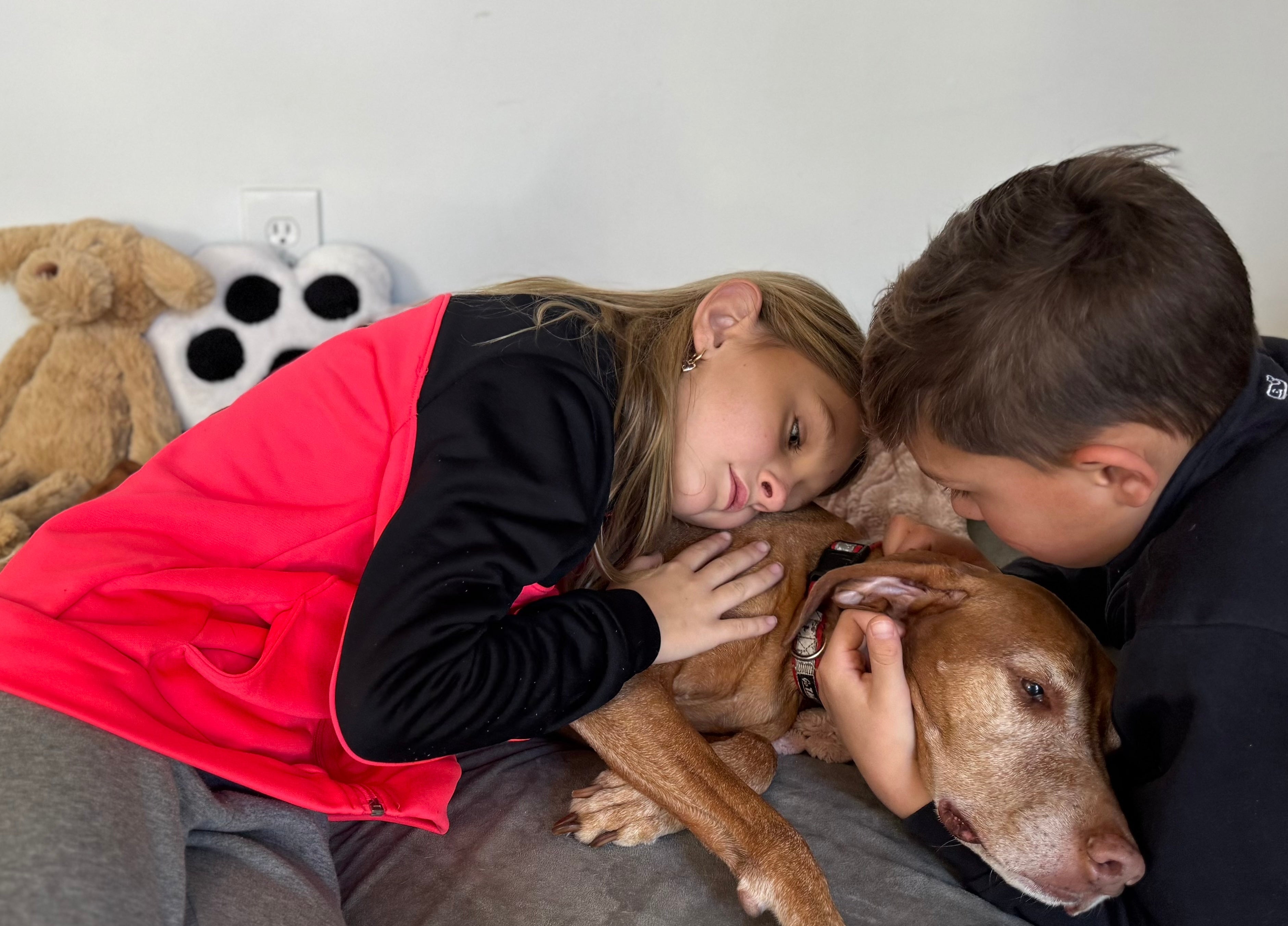Supporting Children Through Pet Loss