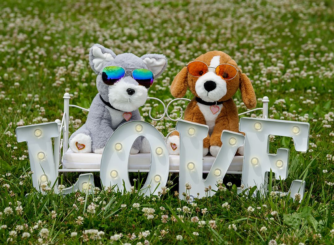 Dog Day at Your Boutique!