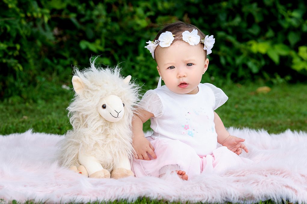 Packed Full of Love: The Alpaca Baby Trend is Too Cute!