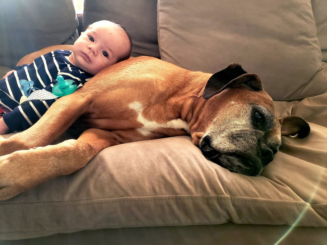 Babies Celebrating National Puppy Day