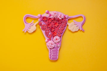 How to Keep Your Uterus Healthy (and ready for pregnancy)