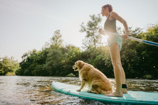 Summer Adventures with Your Furbaby