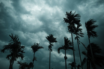 Preparing for Labor during Hurricane Season