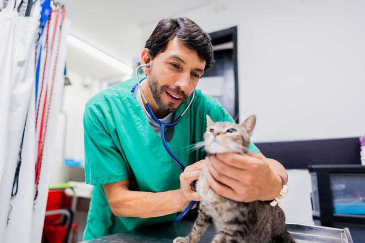 Building a Thriving Veterinary Practice