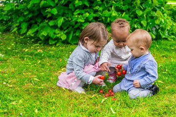 A Family Garden for Spring