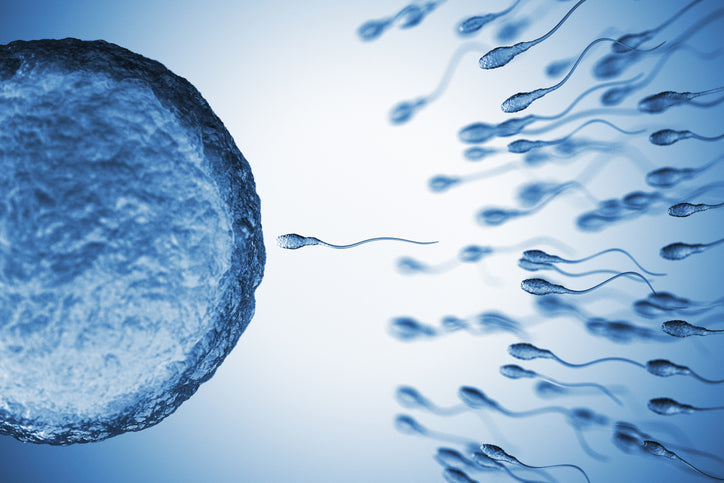 Fertile Semen: Get Those Swimmers Baby-Ready