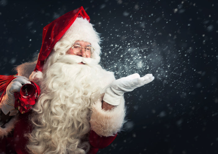 The True Story of Santa: Keep the Magic Alive