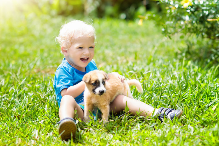 A Toddler, A Puppy, and a Pregnancy – Oh MY!