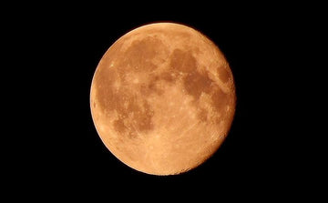 The Full Moon: Hello Crazy Kids.