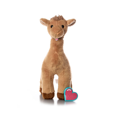 Camel