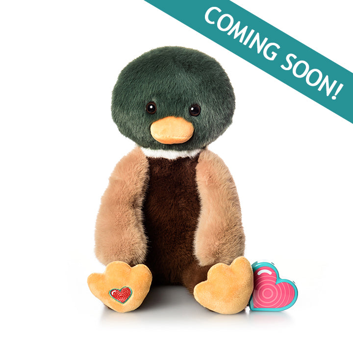 Mallard Duck