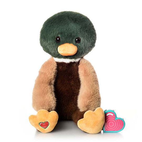 Mallard Duck