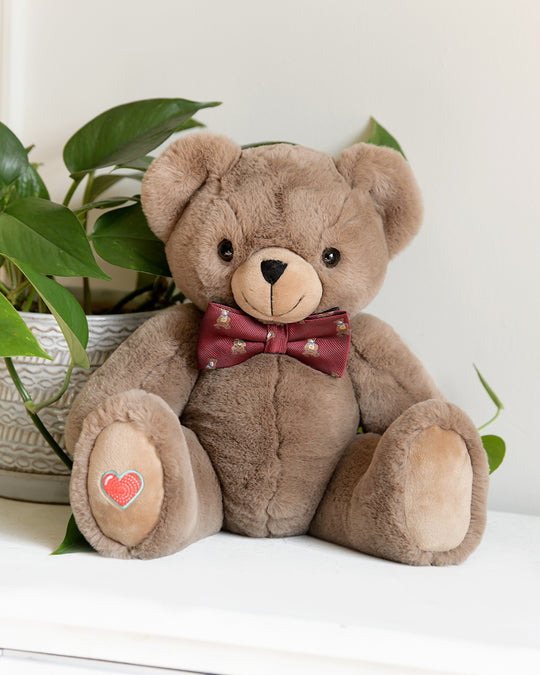 Cocoa Bear