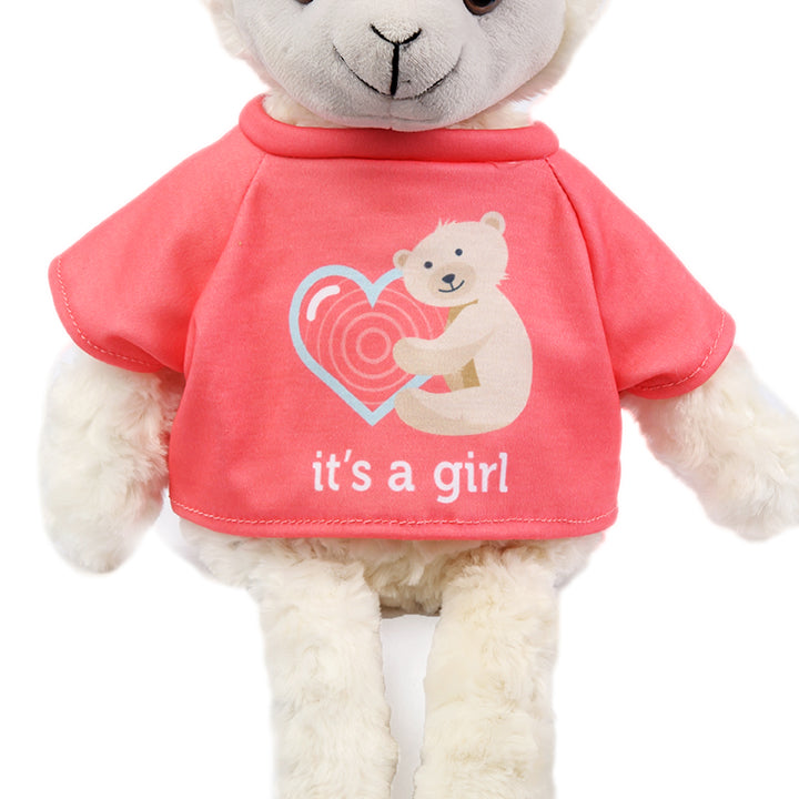 Gender Reveal Shirts