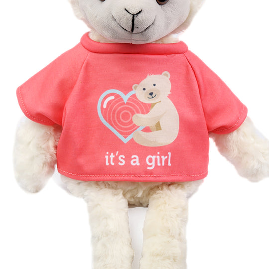 Gender Reveal Shirts
