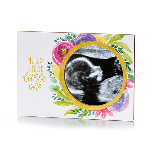 Magnetic Ultrasound Frames