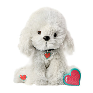 Bichon Puppy