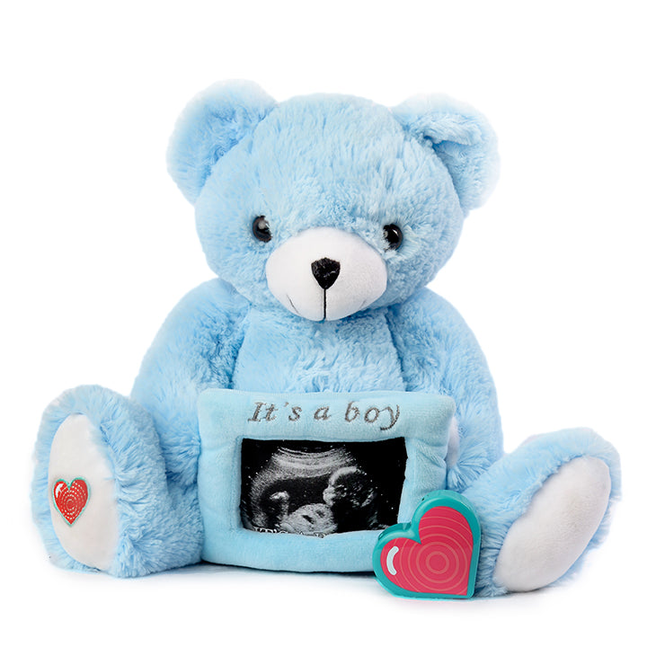 Blue Gender Reveal Bear