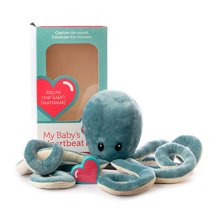 Octopus
